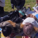 [NCT즌] 추워서 서로한테 딱 붙어있는 드리<b>미들</b>