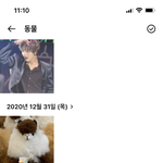 [NCT즌] <b>동물</b>에 왜 들어가계시는