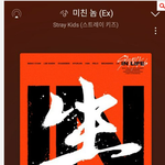 스키즈가 뭘 잘못했다고