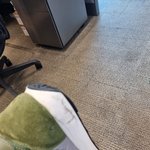 홍앤홈쇼핑의 나이키운동화