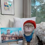 패션에 딱히 편견이 없다는 야옹이