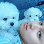 [세븐틴] 걍 글밀 ㄱㄱㄱㄱ 그리고 공지 다시 만들게 추천 빨리 <b>박아</b>