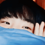 [세븐틴] 짤털<b>동참</b>