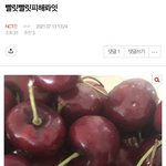 [NCT즌] 캡박미안) 나 이런 글들 너무 좋아