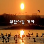 [좋은글귀] 괜찮아질 거야~