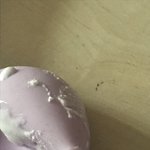 ㅅㅂ말랑이 <b>터짐</b>