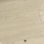 [댓글부탁해] 혐 이거 무슨 벌<b>렌지</b> 알려줄사람(바퀴 ㄴ)