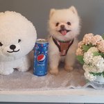 [개깊은빡침] 너무 괘씸하고 억울하고 화가납니다ㅜ