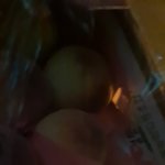 [TXT] ㅅㄷ 아이갓마이피치스온마이<b>조지아</b>