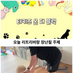 [웃긴짤] <b>터키</b>즈온더블럭 패러디?