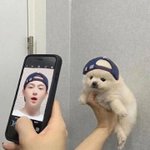 내가 키우는 <b>강쥐</b>