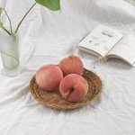 [댓글부탁해] <b>pt</b>는 가까운곳이 젤 낫지?