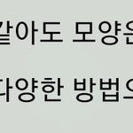 ㄹㅇ 이 곡만 들으면 당장 축제마려움..