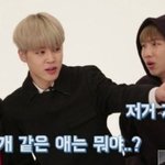 어딜가든 아미 머리채잡는애들