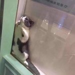 [뉴NCT즌] <b>심심</b>하다