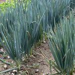 [BTOB] <b>알로에</b>