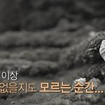 1박 2일에 나온 플로깅