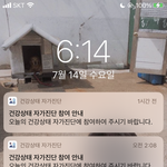 [드루와] 자가진단 <b>해킹</b>임?