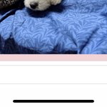 [NCT즌] 헐 <b>대디</b> 버블 대갈이ㅠ