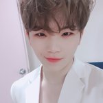[세븐틴] 저기.....나 타팬인데...