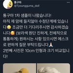 [NCT즌] 툥구마 아직 <b>샘플</b>단계임
