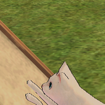 [<b>레이</b>] 사담)