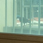 [진격의거인] ㅅㅍ) 오늘 우리 <b>집</b>에
