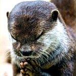 [아이콘] 제발 ㄱ 부디 ㅈ 진심 ㅎ