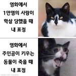 [댓글부탁해] 나 이거 <b>애정</b>결핍이냐
