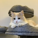 [더보이즈] 우리집 <b>고영희</b> 사진도 볼래?