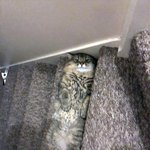 다들 홧팅해 오늘도