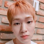 두<b>부상</b> 아이돌 보아봄