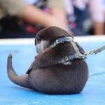 투썸갈까 <b>스벅</b>갈까