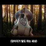 [에이티즈] 드디어 <b>본</b> <b>모습</b>을 드러냈군