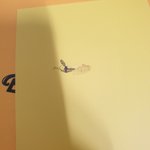 하다하다 이젠 앨범 <b>구성</b>품에 벌레도 찍혀오냐?