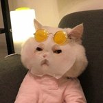 [스키즈] 팩하고 잠이나 <b>자야</b>겠어..