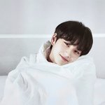 [엔하이픈] <b>다우니</b> 향기