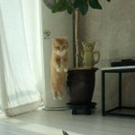 <b>제인</b>도 본사람