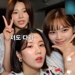 [댓글부탁해] 진짜 코가 <b>중요</b>하긴 하구나