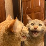 백설공주에게 질투를 느낀 <b>왕비님</b>은..