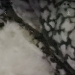 [NCT즌] <b>대디</b>버블 대갈미 ㅁi쳣다