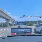 [개념없다] 트럭 짐칸에 <b>사슬</b>로 묶인 개