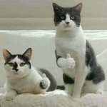 [아이콘] <b>밥</b>이가 <b>약속</b> 지켜줬어!