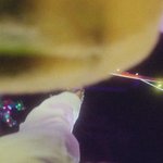 [NCT즌] Why jungwoo are <b>so</b> cuta?! ❤️