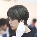 리노 잘부탁드려요
