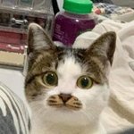 1.7~1.8 대학 ㅇㄷ갈수있음