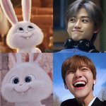 [NCT즌] 토끼그<b>자체</b>
