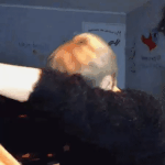 [NCT즌] 태용이만 생각하면 왜 이렇게 가슴이 먹먹해지냐