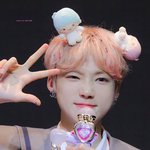 [더보이즈] <b>공격</b>적인 뉴냥이