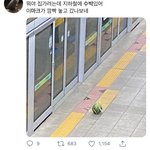 [NCT즌] <b>바부</b>콩알아~~~~